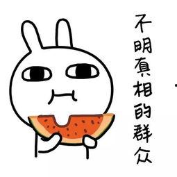 娱乐吃瓜酱喜欢就要珍惜,与娱乐吃瓜酱共度美好时光